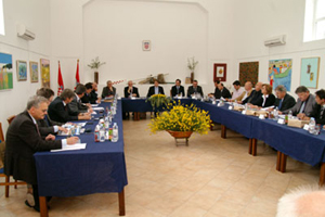 Preko, 21. svibnja 2010. - u radu Otočnog vijeće sudjelovalo je 30 članova, a čine ga 19 predstavnika otočno-obalnih županija, 7 predstavnika ministarstava i 3 saborska zastupnika